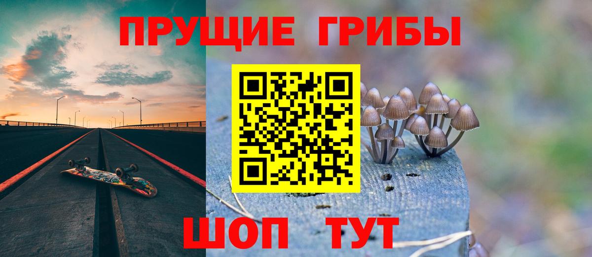 Спасск-Дальний  Галлюциногенные грибы мухоморы  Вход с VPN 